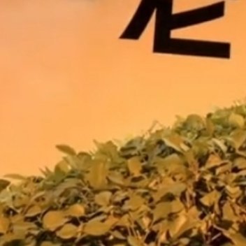 每日一善 ☀️阳光信用 ☀️每日一善  生活不会一帆风顺，但我们可以选择乐观面对