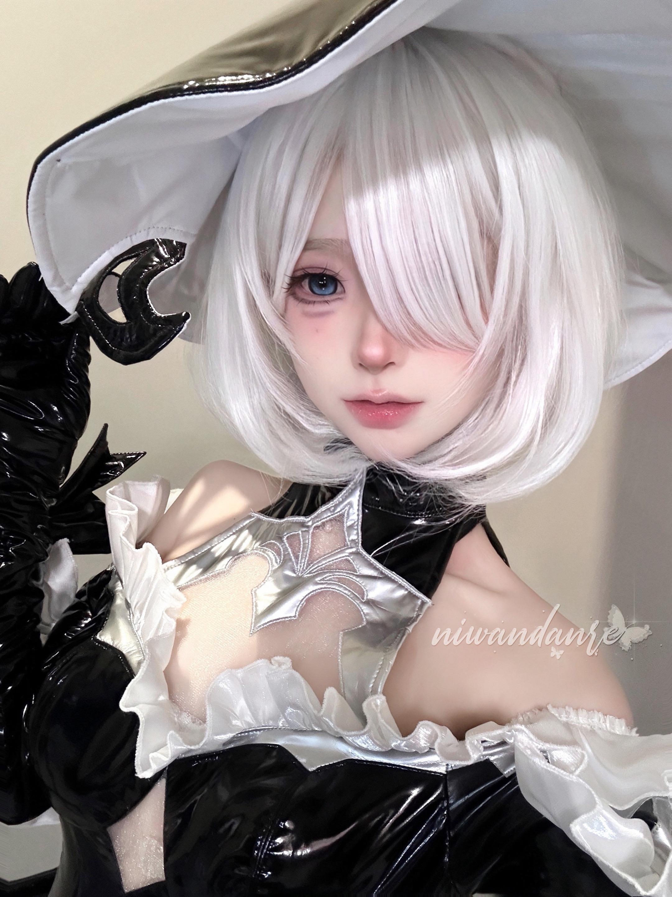 尼尔机械纪元 2b 2b女巫