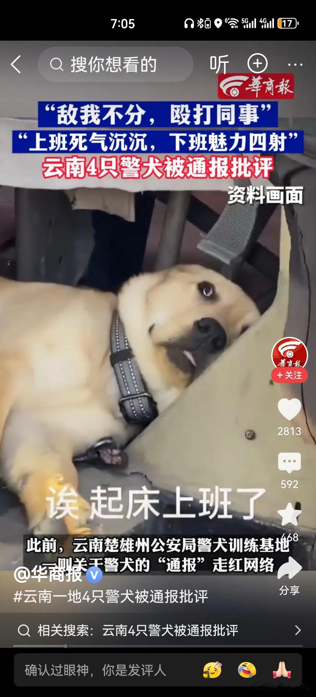 四只警犬被警告了，“敌我不分，殴打同事，不爱洗澡，在战友床上尿尿”，警犬不合格能