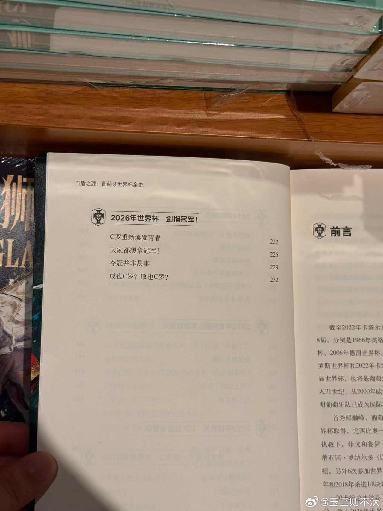 葡萄牙世界杯全史 