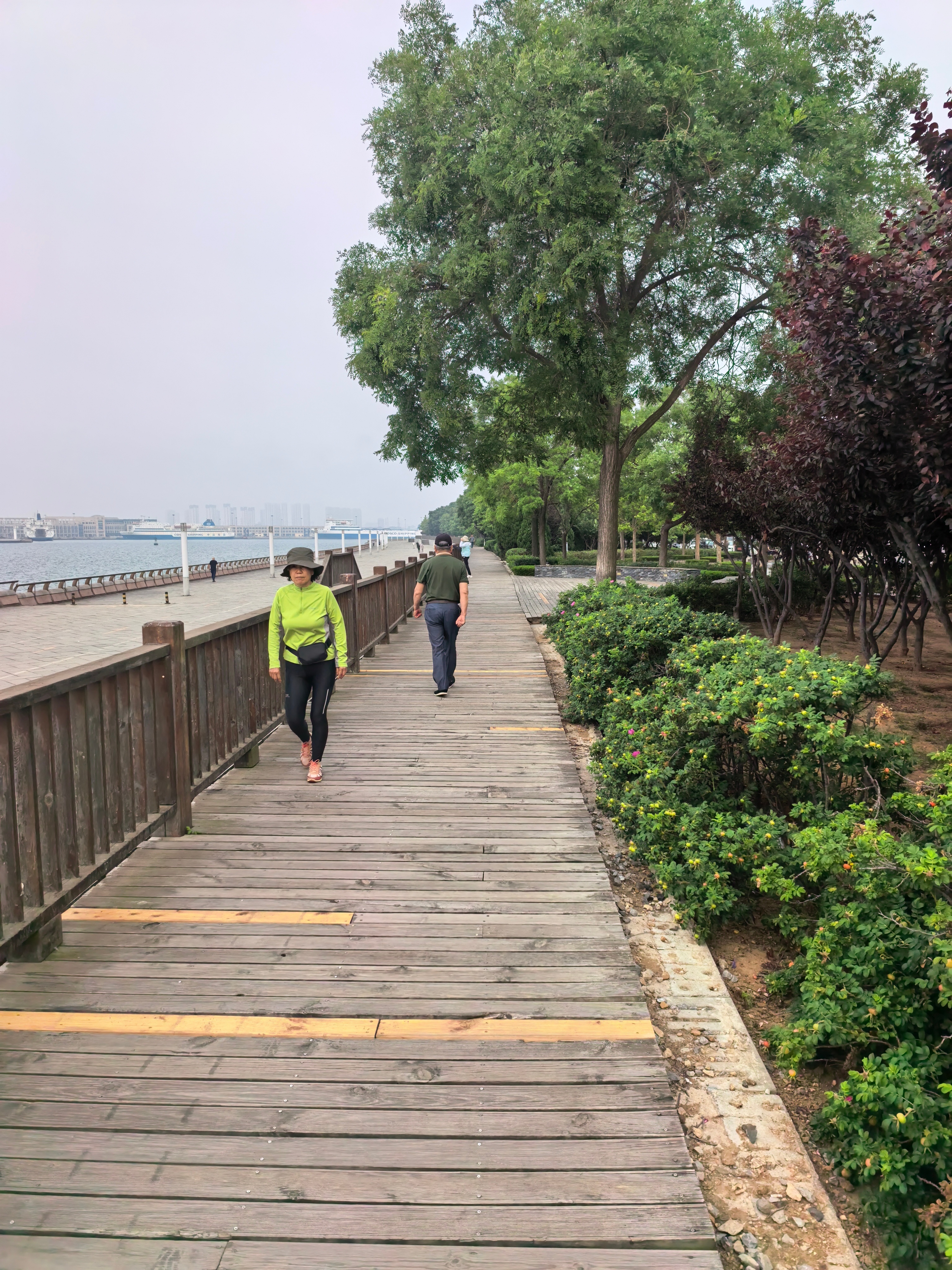 早上起来跟我王叔、刘婶、李大爷一起晨跑，小风吹着真舒服，早上好朋友们