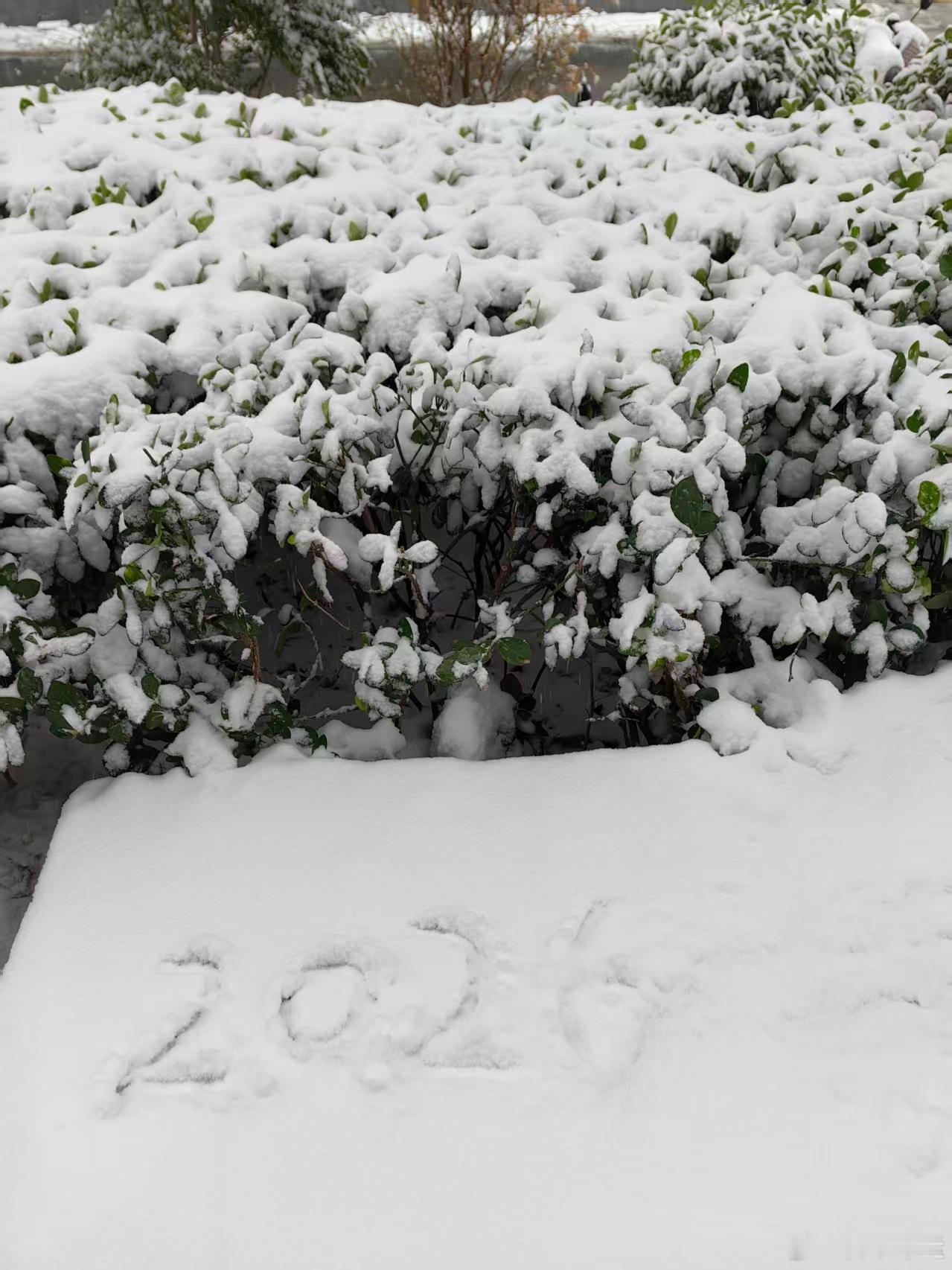 初雪漫舞时，天地化作纯白信笺。有人写下“平安顺遂”，让瑞雪承载牵挂；有人刻下爱人