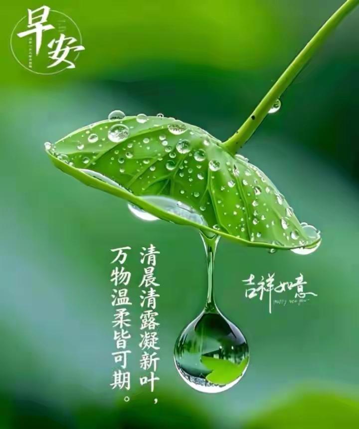 行香子   时光易老
​
​少年轻狂，莫道时长。
​转回首，鬓发微霜。
​时光易