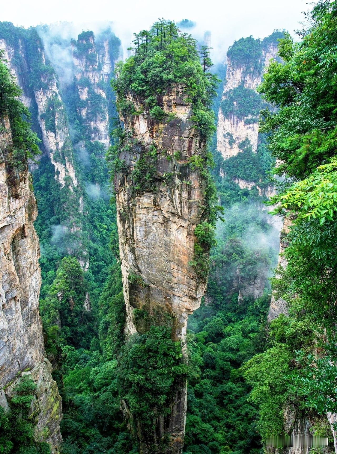 当仙云痴缠剑指苍穹的奇峰，便成了震撼迷人的张家界仙境
大家都晓得张家界很美，简直