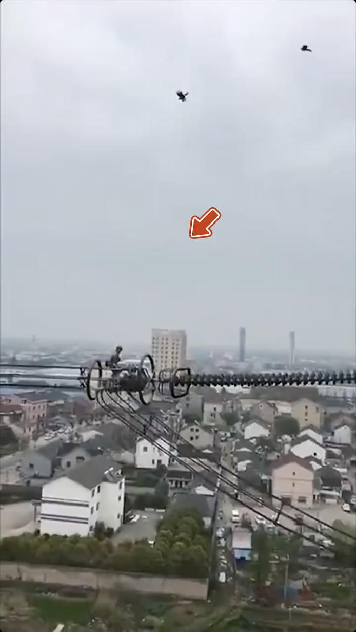 喜鹊疯狂攻击高空作业的男子 ，真相曝光后， 不禁令人感动！

视频链接：