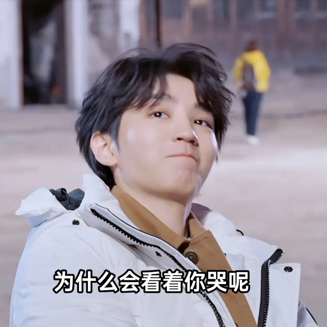 王俊凯