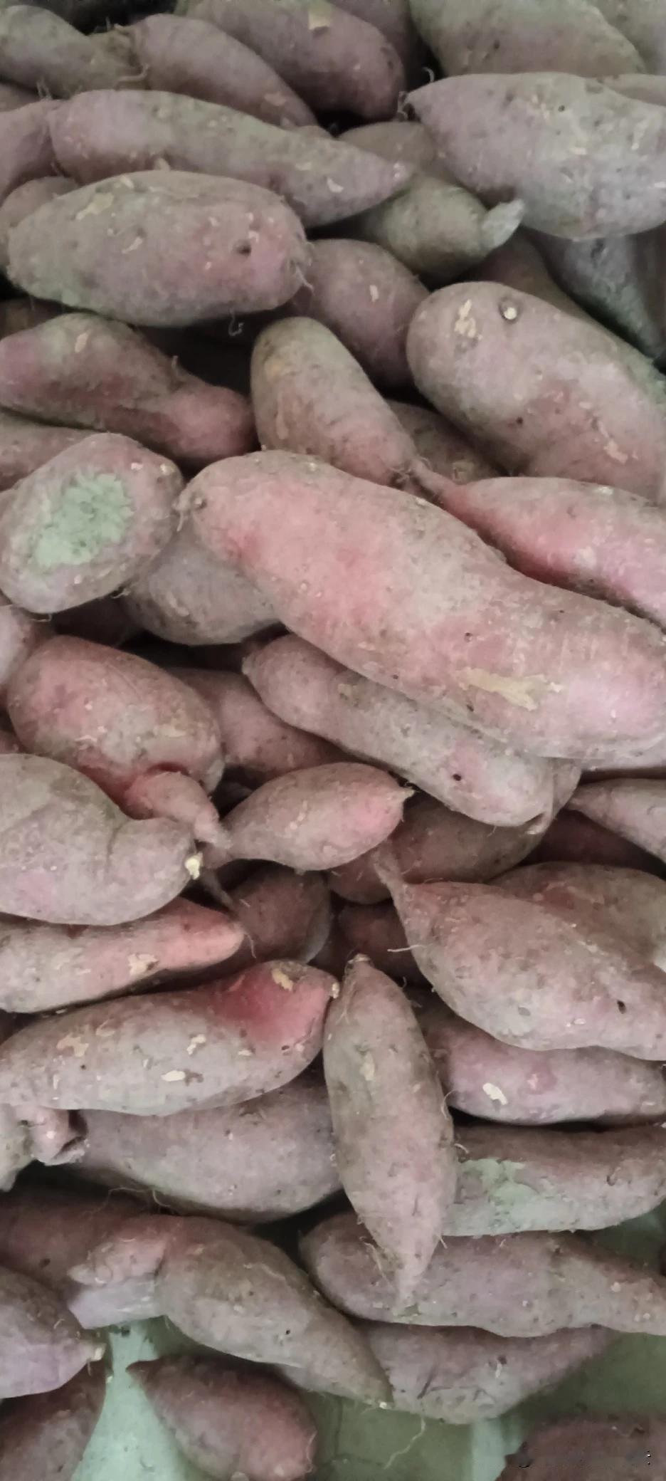 这个年头，连地底里种出来的食物都有问题了，感觉人们的健康在裸奔，人生的危机四伏！