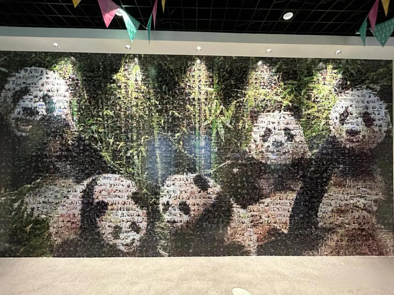 Baohaus第二季
依旧是震撼的照片墙
加了睿辉俩宝贝
这一季主题是小爱
选照