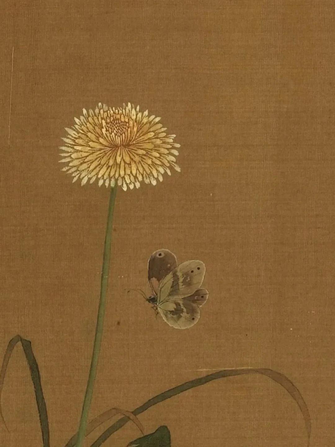 蒲公英。
很少在古画里出场，偶一出场，即自带不可言说的秘密。

春天蒲公英到处都