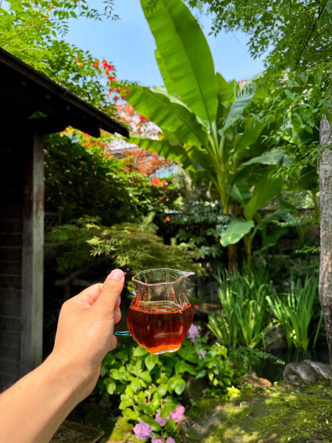  一杯新茶 诗酒趁年华 ​​​