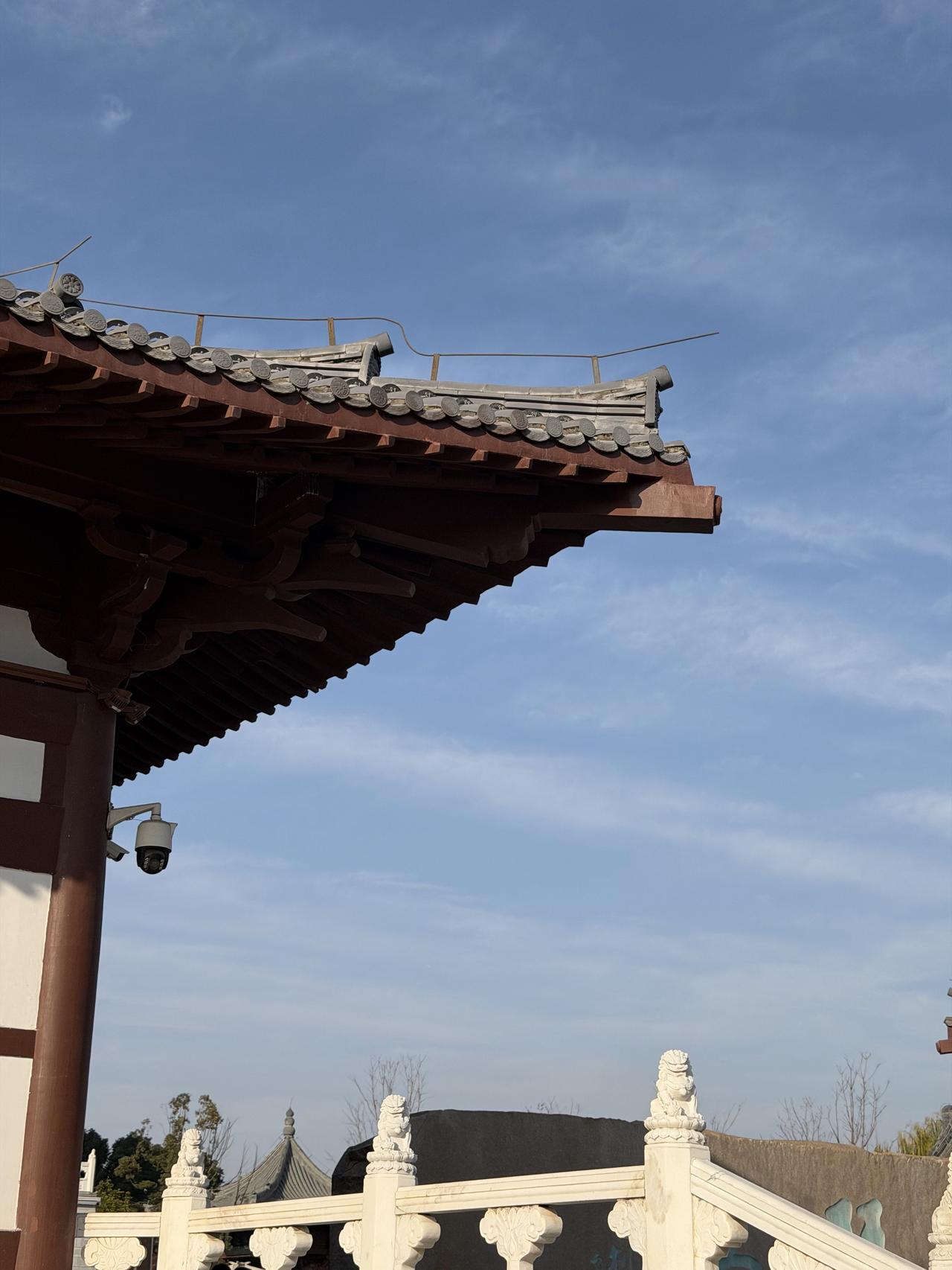 浔阳江头听潮声：探访长江文化国家公园九江城区段

江风掠过11公里滨江步道，将浔