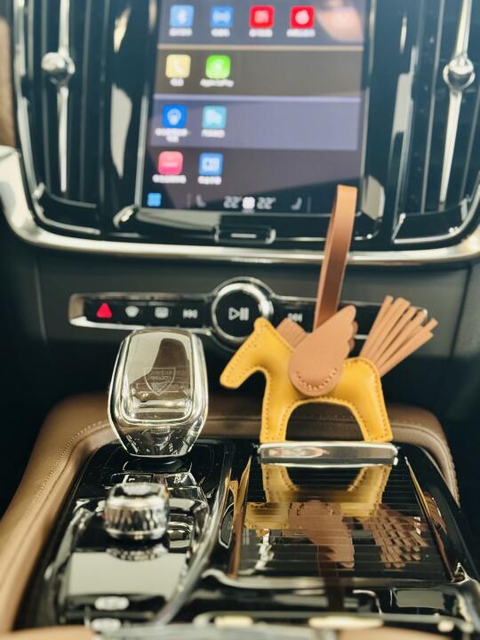 我怎么会在豪华车里看到了马🐴