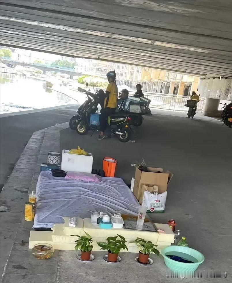 想不到住桥洞的流浪汉也可以这么精致，让我这个还能租得起房的人汗颜。
精致是一种生