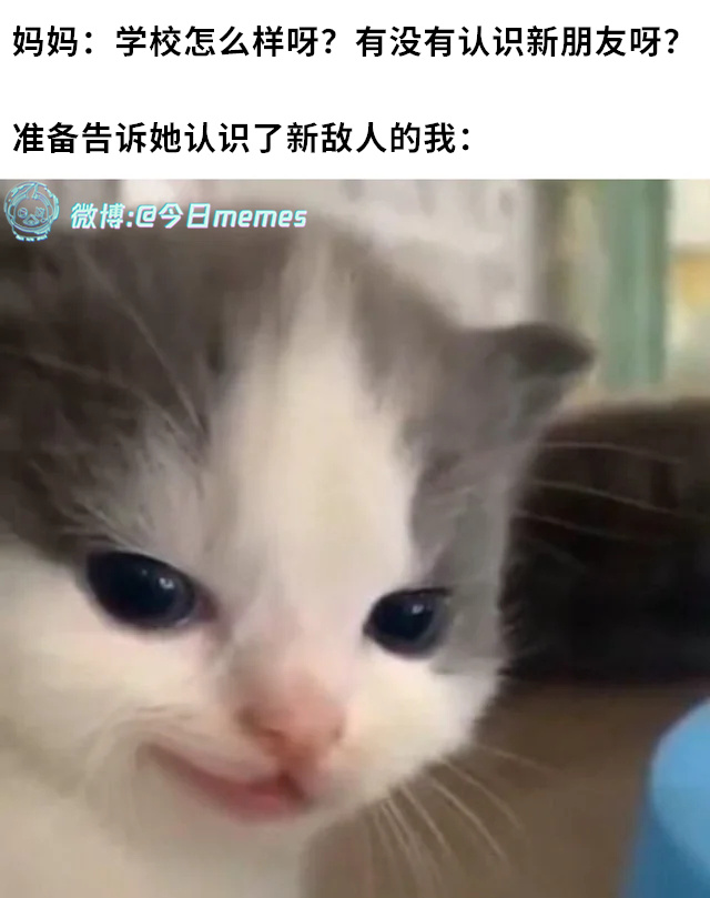 战斗（9gag）今日meme[超话] 今日memes ​​​