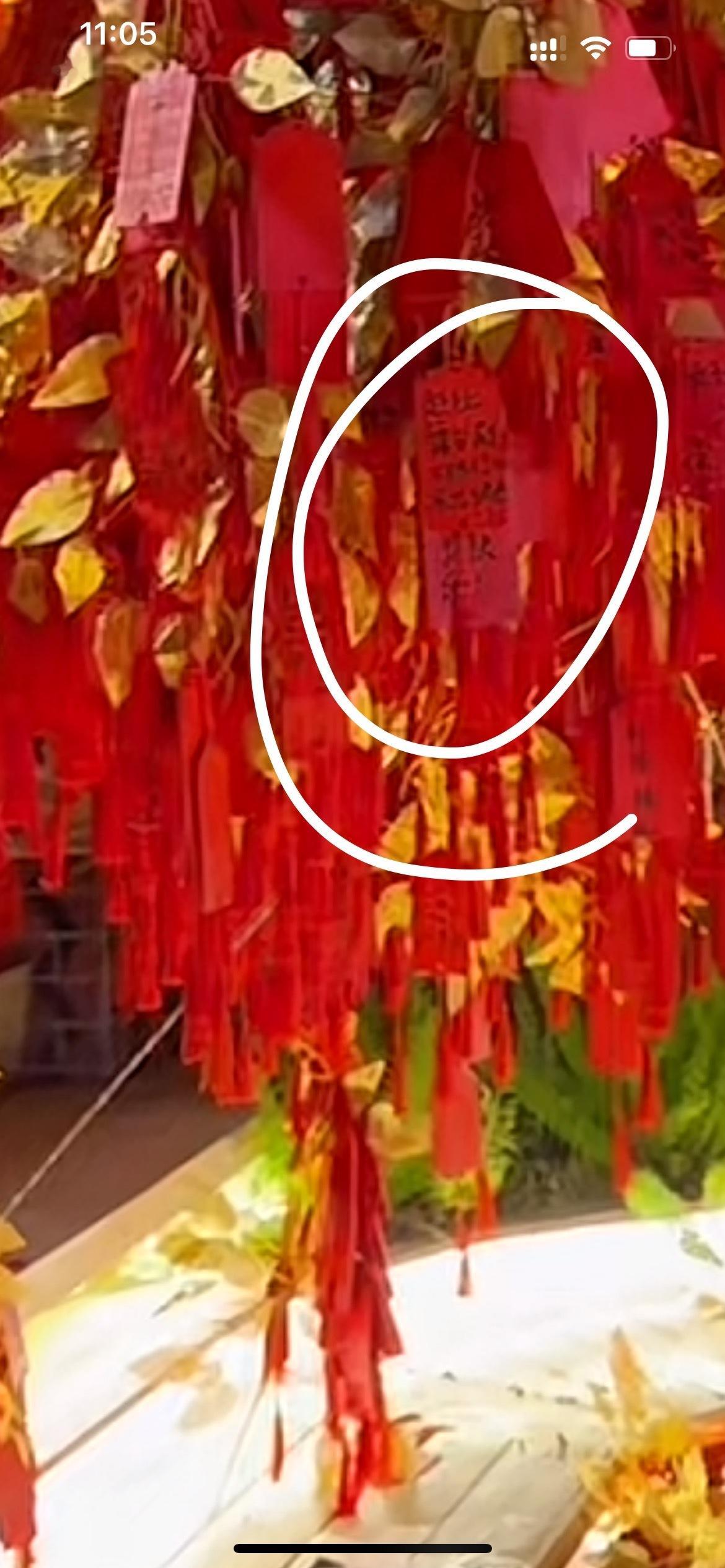 赵让舞台剧《她们》 哪个蜗蜗写的