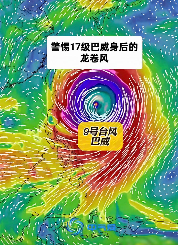 说个我上周刚踩过的离谱坑！前几天巴威预警我囤了三箱矿泉水还把家里所有窗户全贴了米