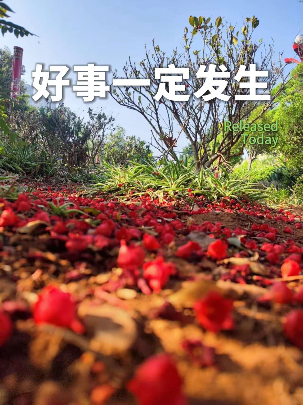 好事一定发生。摄影展 风景摄影 大山里的原生态 图文扶持计划入口