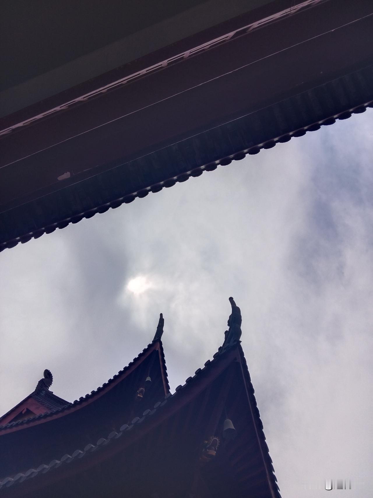 智能手机市场仅有两种操作系统，一为苹果，一为其他。其他皆归属于安卓操作系统。仅从