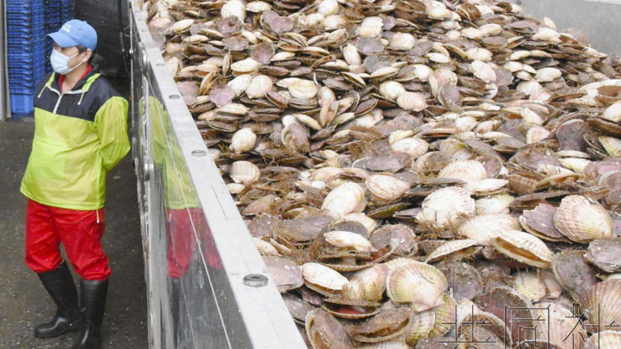 日媒：中方暂停进口日本水产品近日，日本首相高市早苗在台湾问题上发表错误言论，导致