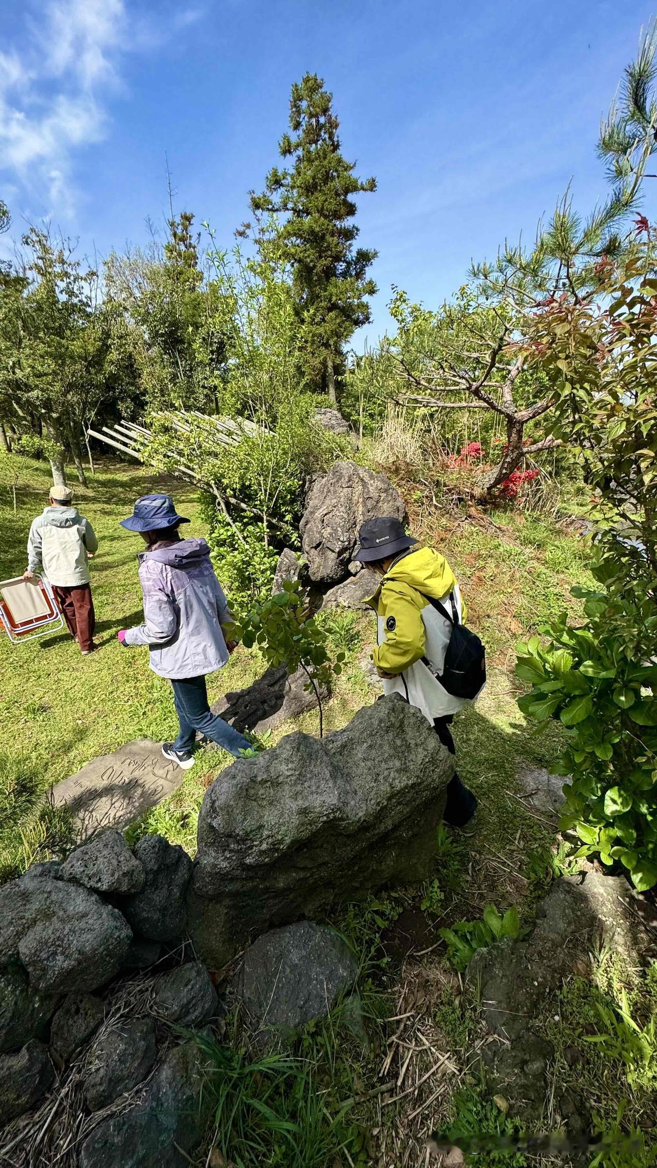 有些喜欢的东西，往往又顾虑农残问题怎么办？但凡这种情况，我要么自己做，要么避而远