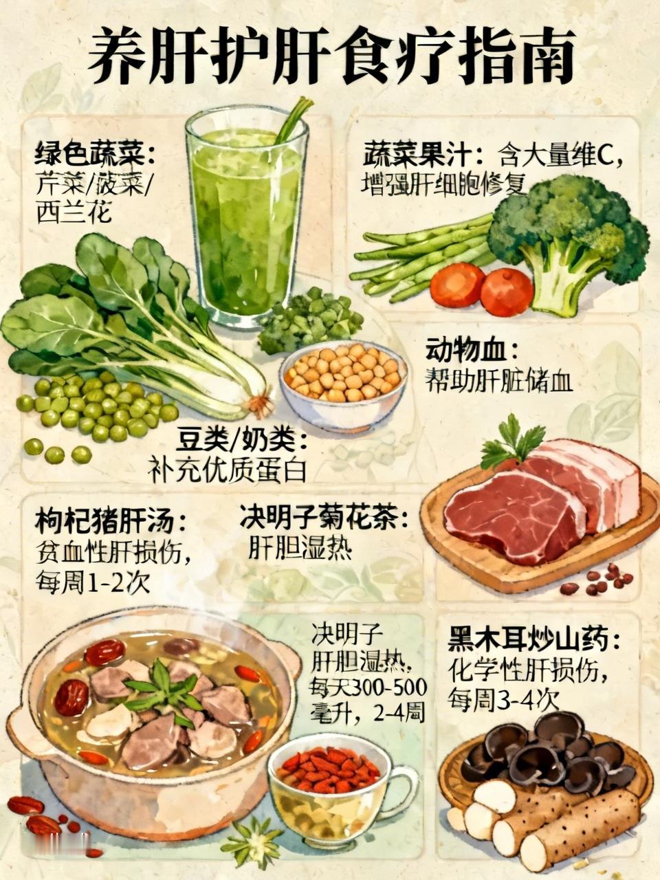 想养肝护肝，食疗是个不错的办法。绿色蔬菜是首选，像芹菜、菠菜、西兰花等，中医说“