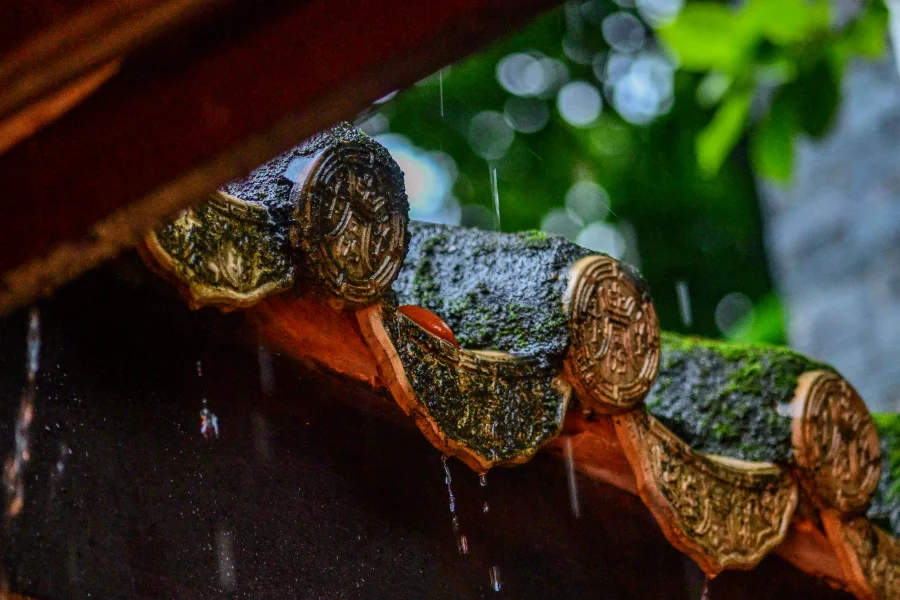 海珠早晨 | 雨中十香园