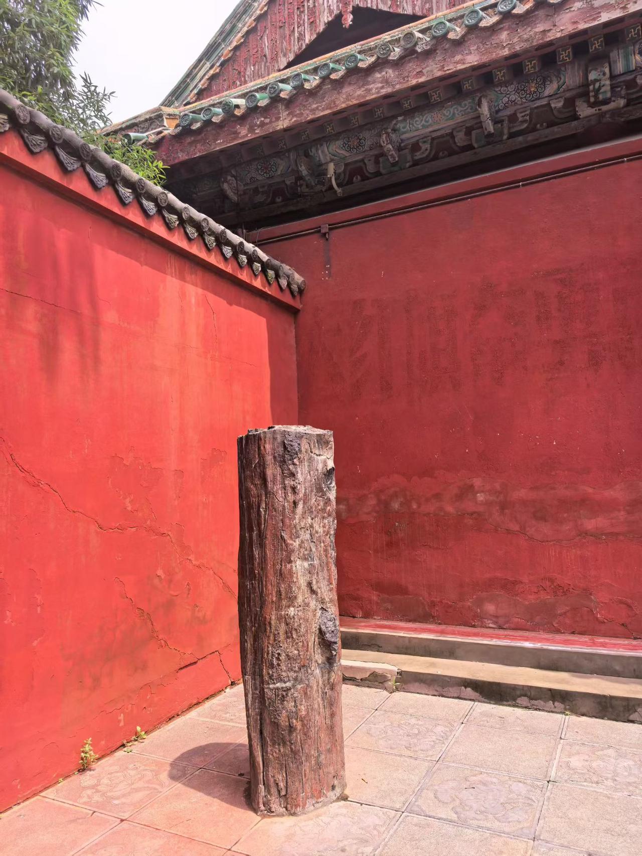 人老了，是靠老公，靠子女还是靠钱晚年不必过度依靠他人，伴侣、子女皆是情感依托，手