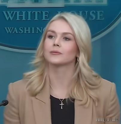 丹麦外交部长拉斯穆森15日说，丹麦从未同意成立旨在讨论“美国如何获得格陵兰岛”的