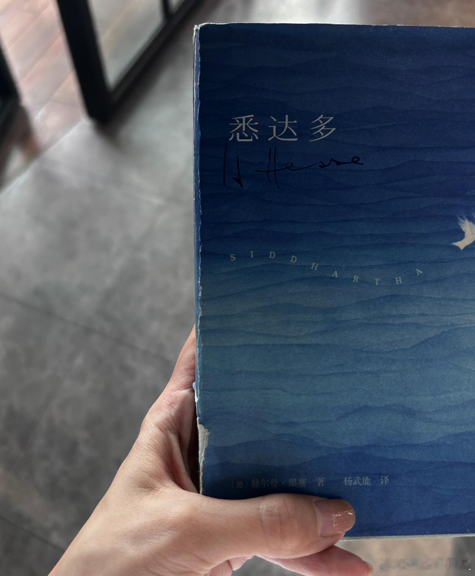 周末静音时光☕️爱不释手的冰美式 