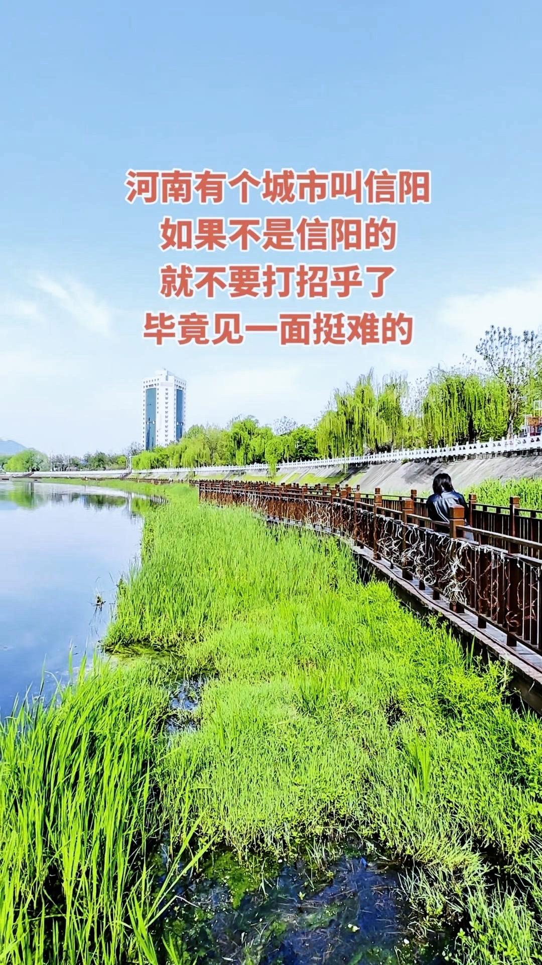 🌉信阳的虹桥超出片！
1️⃣站在桥上看浉河两岸，流水潺潺，两边的树影倒映在水面