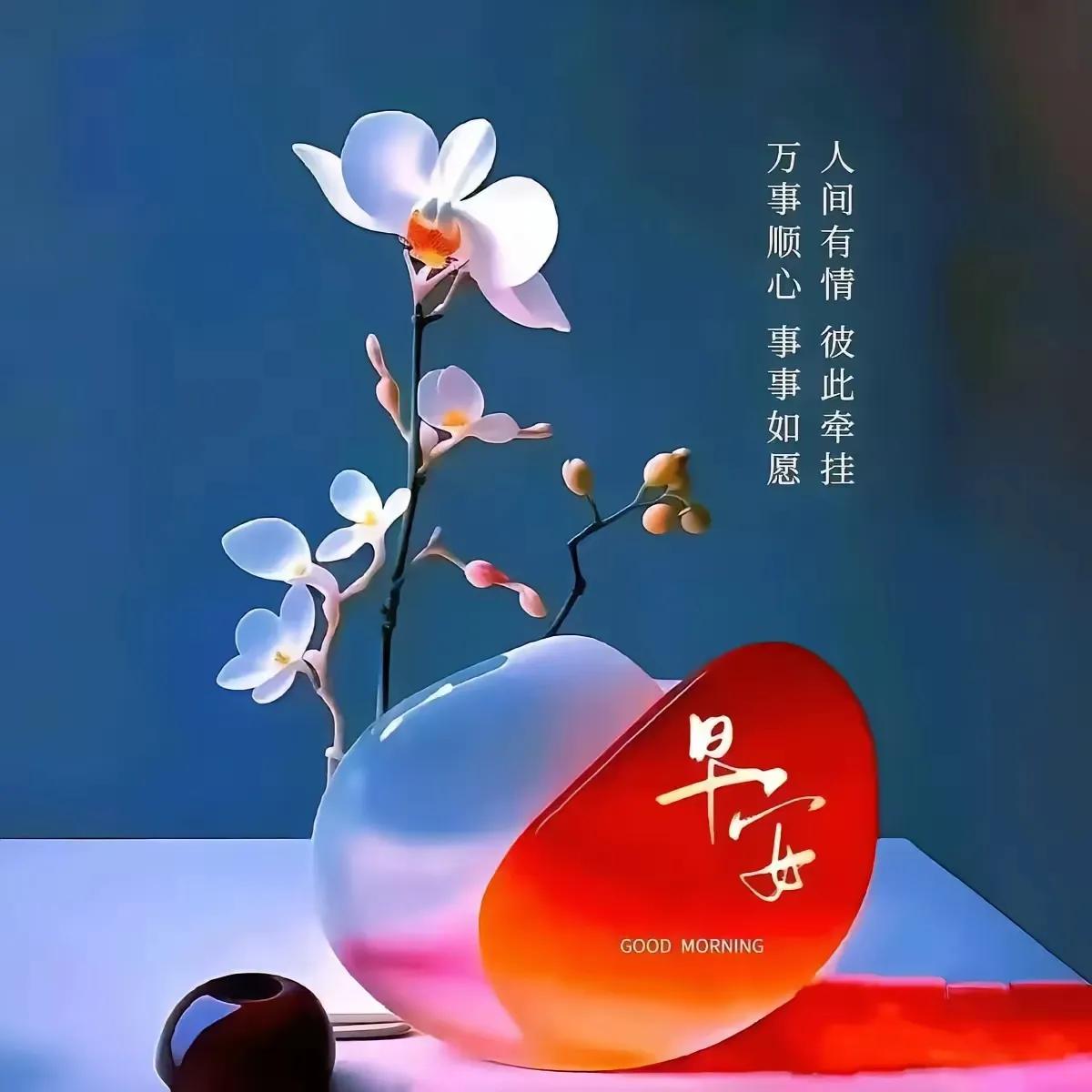 早安，愿事事顺心，人间有情。🌸🌺