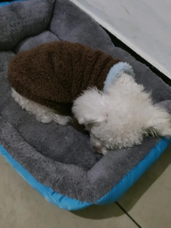 天南地北大拜年我正在参加天南地北大拜年活动，每日完成任务有机会瓜分80万现金红包