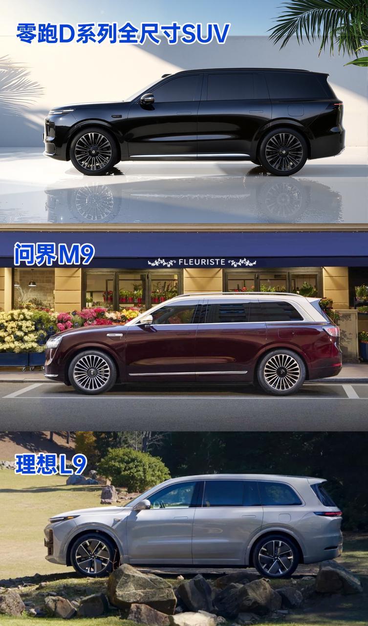 别说，零跑D系列这假想图和库里南像也不是空穴来风，气场不输L9和M9。三排座+激