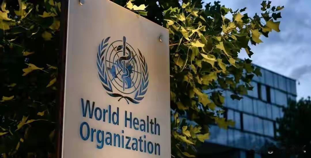 美国退群世卫：全球防疫裂痕下的战略代价

2026年1月22日，美国正式完成退出