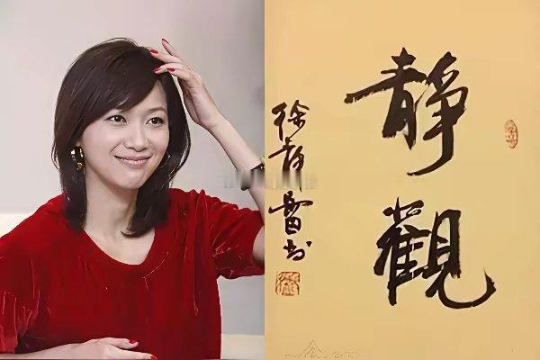 徐静蕾三岁就在父亲的严格督导下苦练颜体书法
​2007年推出方正静蕾简体
是国内