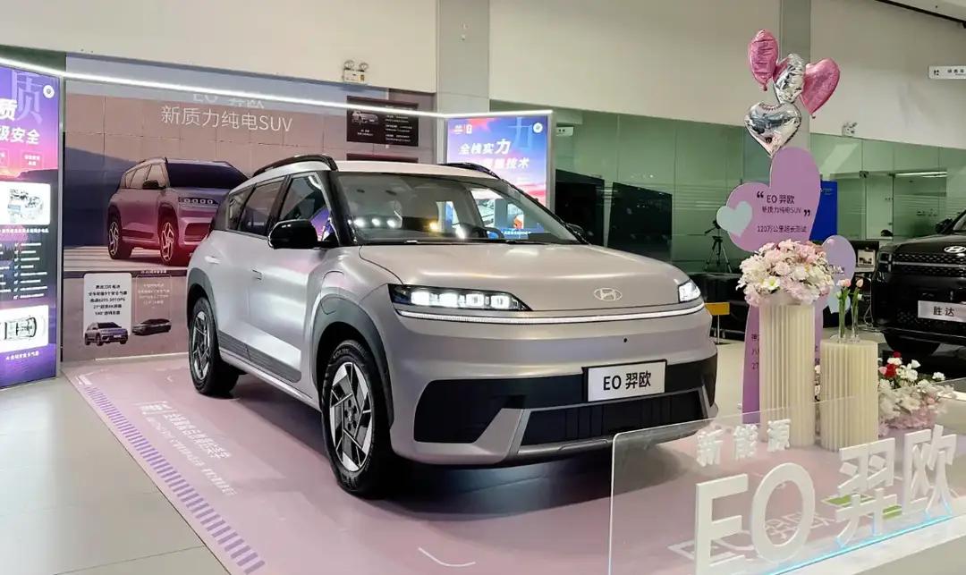 荷兰尴尬了！整个欧盟都傻了，中国又赢得建国后又一次