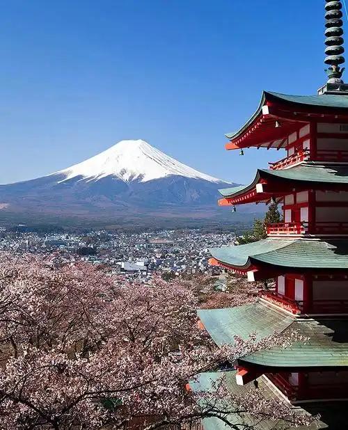 日本媒体坐不住了！中国游客集体大迁徙，默契地绕开日本了。10月7日，国庆出境游榜