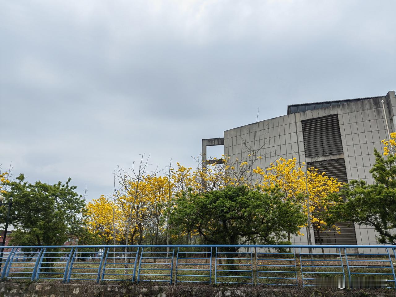 高山出俊鸟
黄土埋英雄

高山出俊鸟
流水寻知音