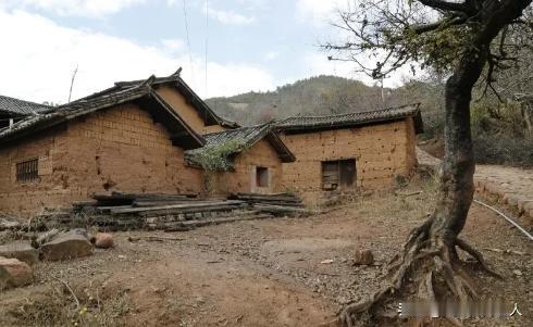 福建厦门，女子的大哥因病离世，留下7岁的女儿，她终身不嫁，将侄女抚养长大，还将父