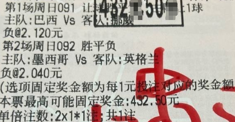 葡萄牙冠军！没意见吧⭐️093  世界杯 葡萄牙vs西班牙⭐️094  世界杯 