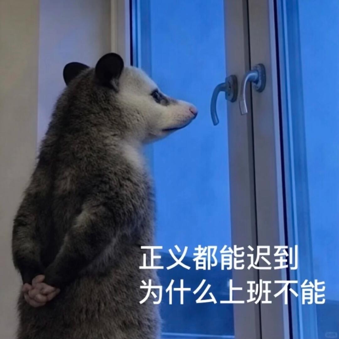 负鼠表情包笑疯了🤣