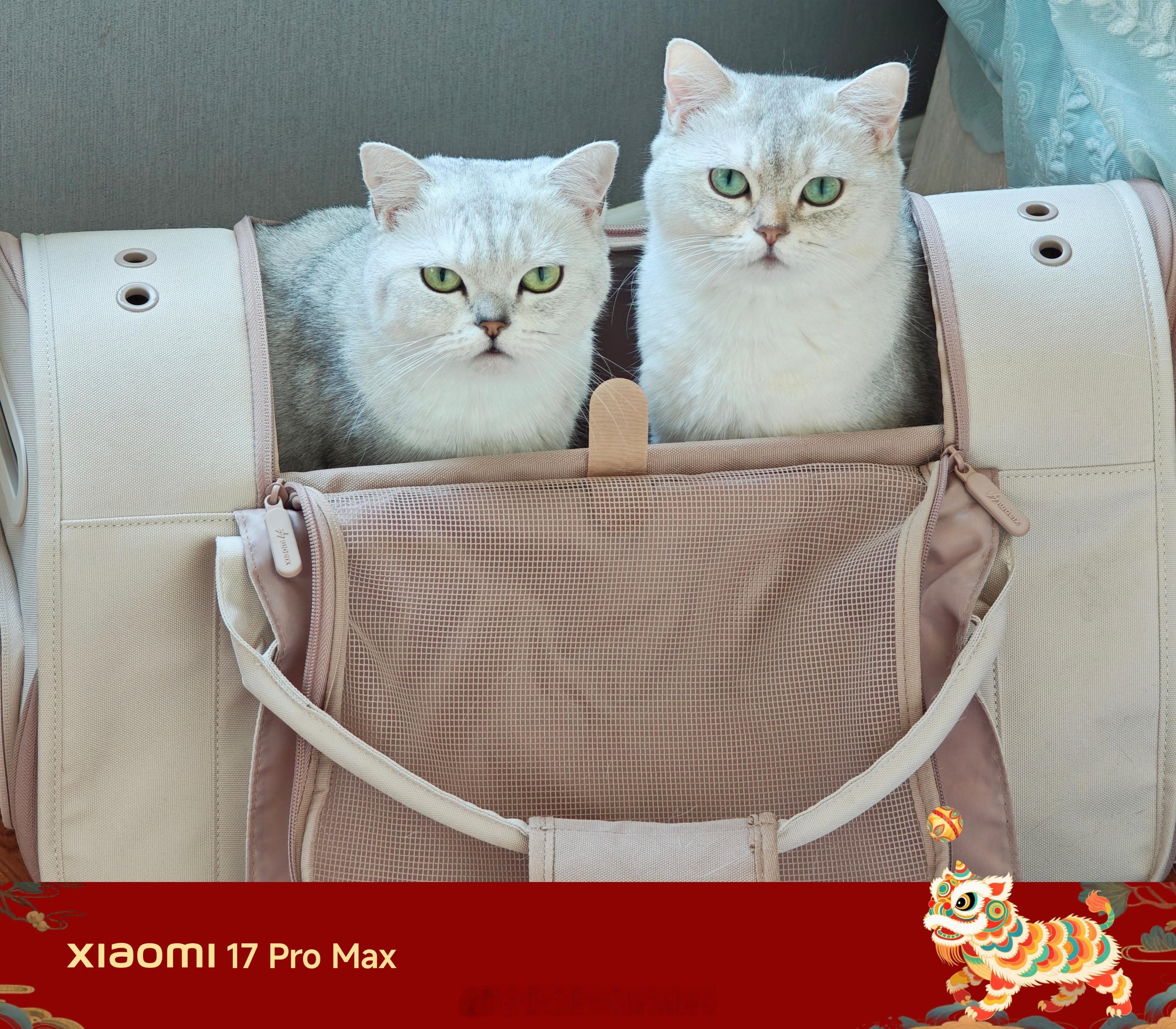 大年初三，去哪玩？