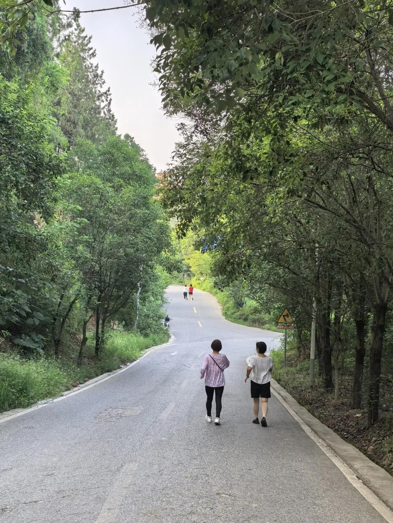 优美景物描写：
作者：月满西楼艳文，
  夏日的午后，天热的让人喘不过气来，热得