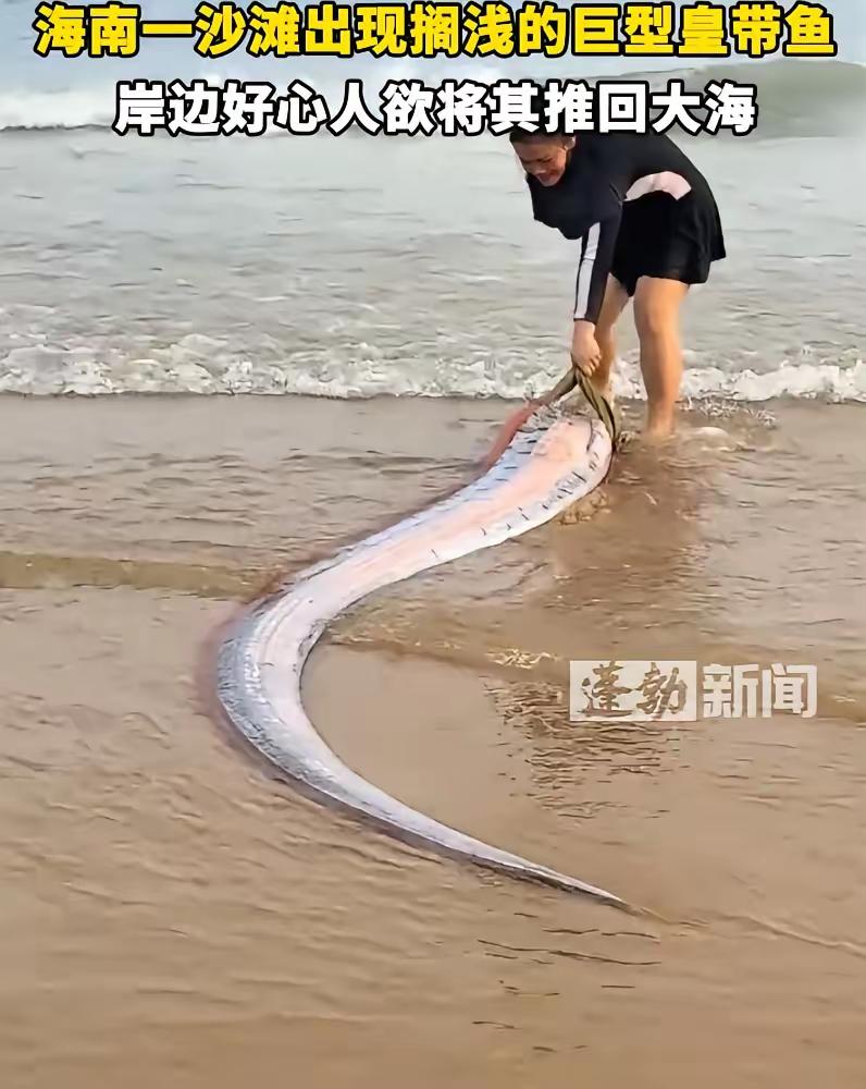 太罕见了！海南，女子在海边游玩时，突然发现有个东西被海水冲了上来，上前一看竟然是