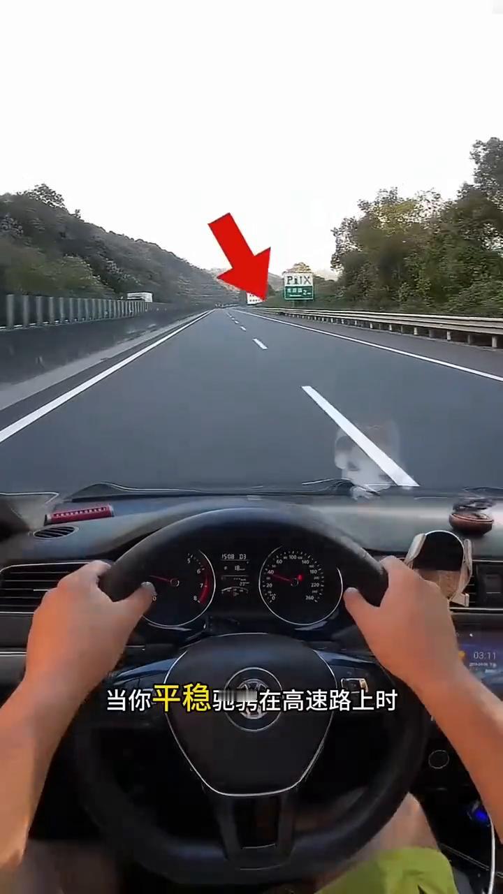 高速跑出小动物该如何应对？
当你平稳驰骋在高速路上时，冷不丁窜出一只野猪。面对这