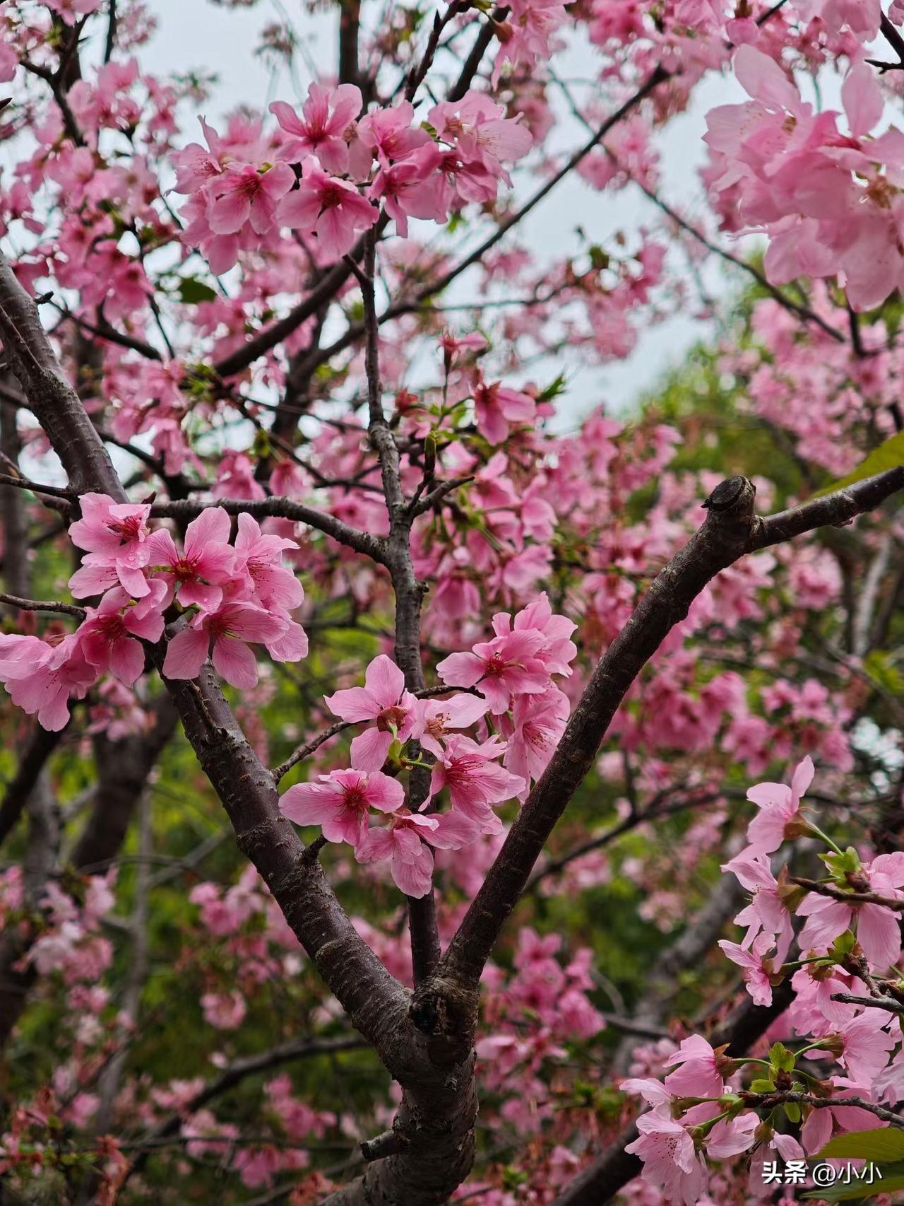 曾经的同事，辞职后会有联系吗？

在厂里上班的日子，真的是一段很特别的时光。

