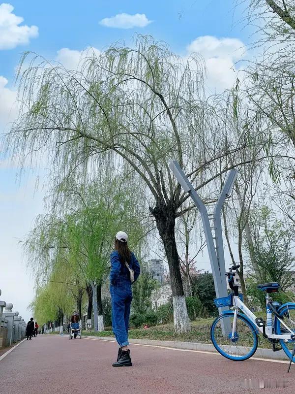 气温慢慢回暖，褪去厚重外套，出门浑身都轻松。
路边草木悄悄发芽，枝头冒出嫩花，空