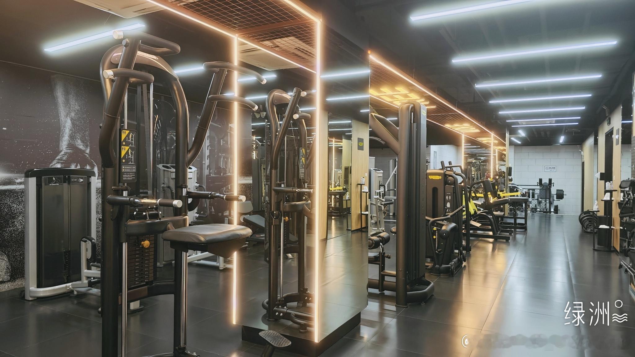 融资盘的倔强。威尔士健身 健身打卡 天天健身  绿洲 上海