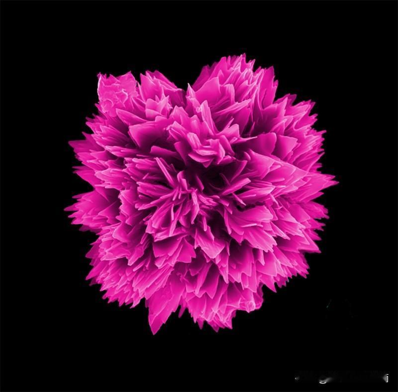 你自比扫地机器人？别抬举自己了。机器人坏了公司修，你倒了半天就有人替

昨晚下班