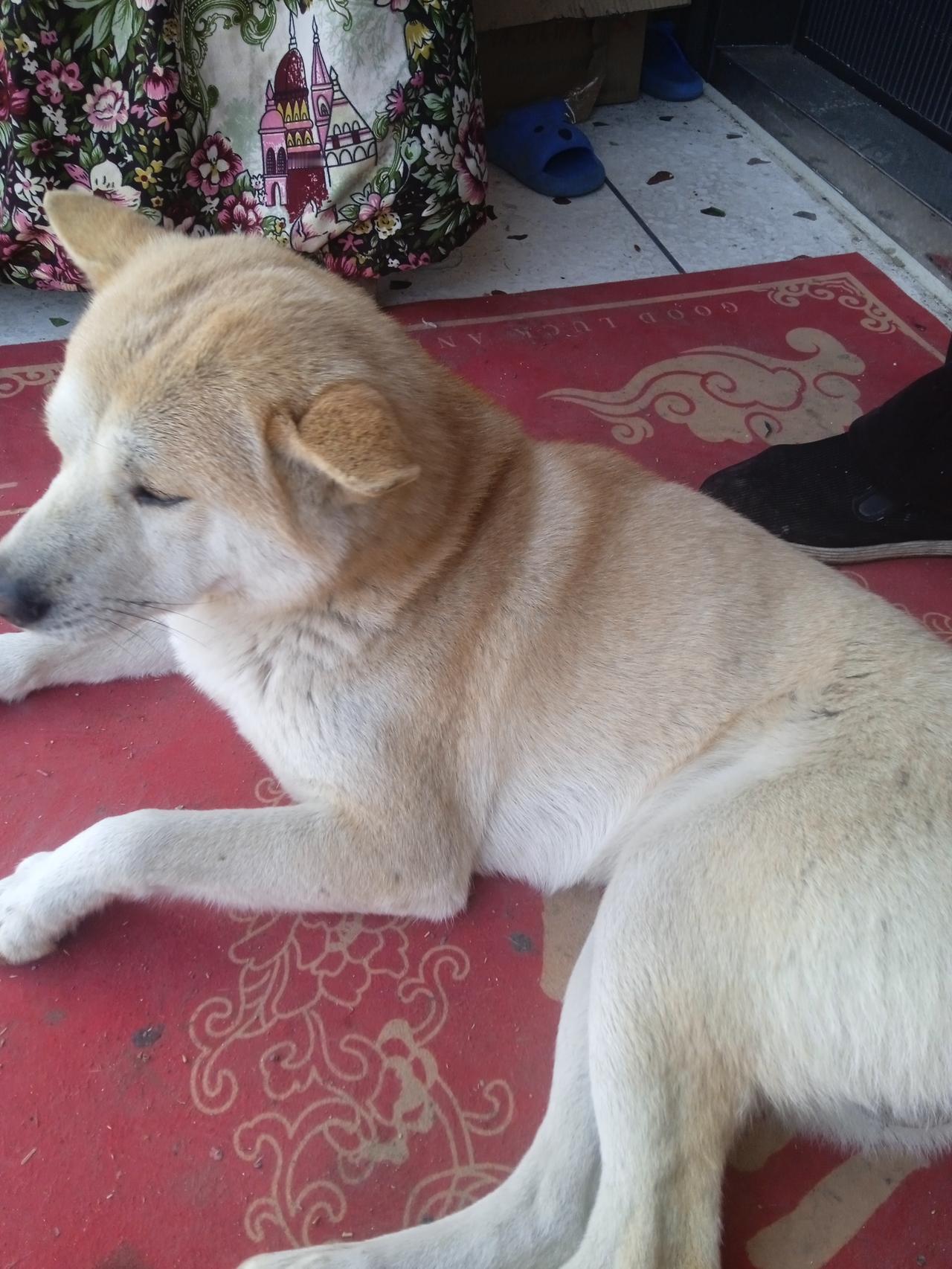 不结婚人生就不完整吗？
很多人特别是老一辈人总是说不结婚生子人生是不完整的，来到